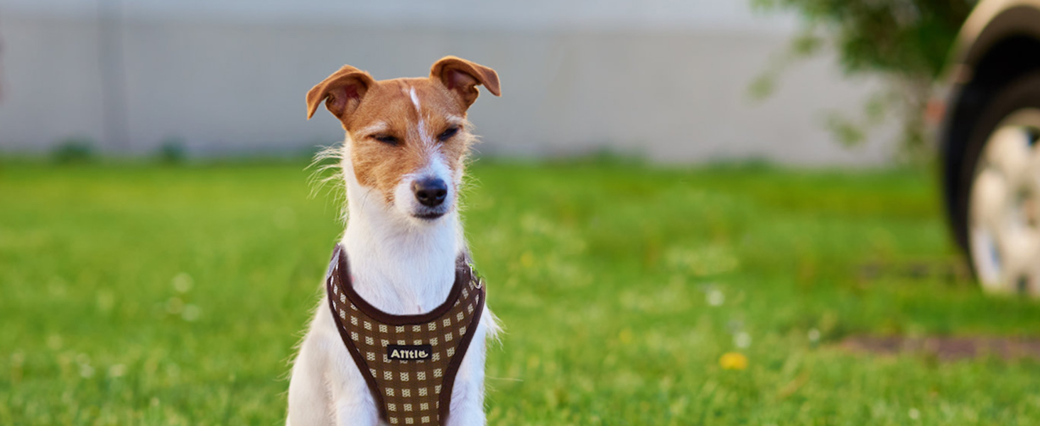 AIITLE Step-in Dog Vest Harness and Leash Set - Summer Mesh Plaid Vest Harness