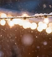 Medium Outdoor Electrical Box