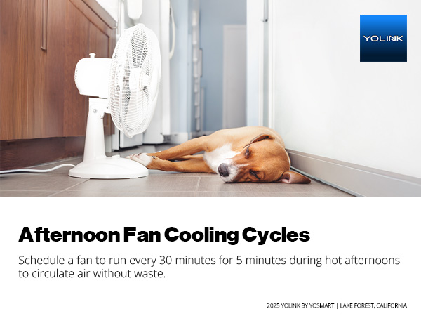 Afternoon Fan Cooling Cycles 
