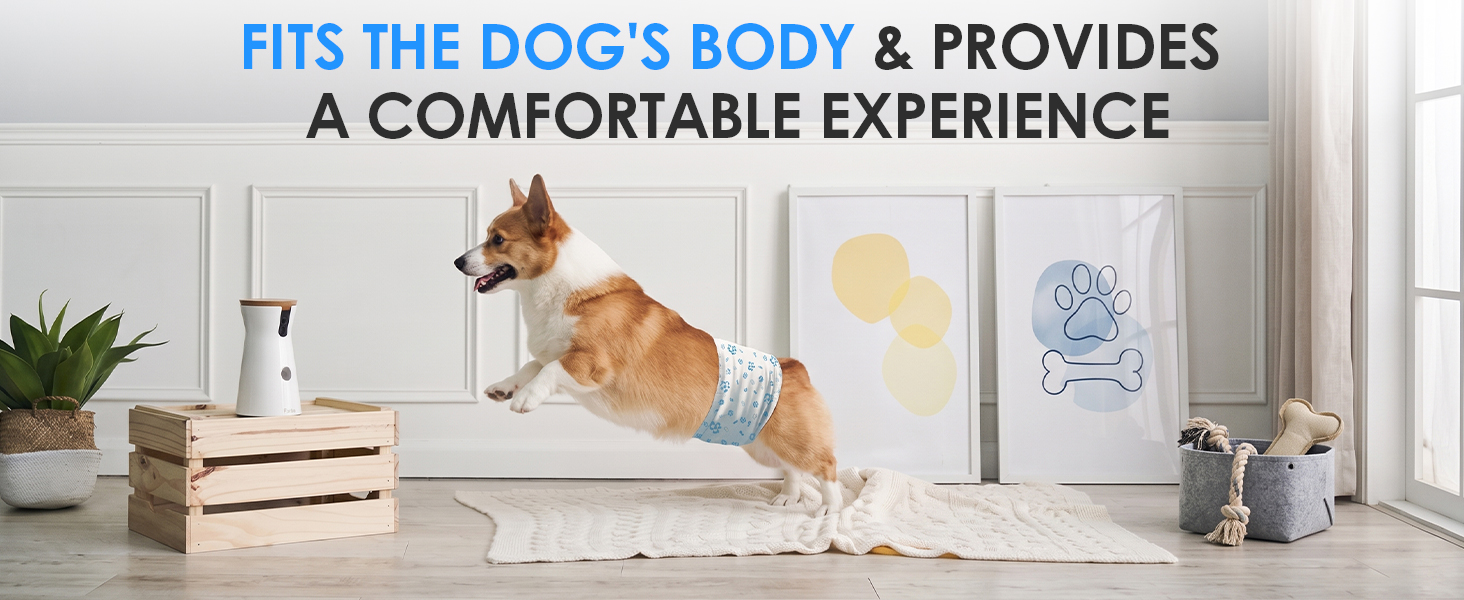 FITS THE DOG&amp;#39;S BODY &amp;amp; PROVIDESA COMFORTABLE EXPERIENCE