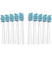 Electric Toothbrush Heads Compatible with TEETHEORY Sonic and Fairywill - Replacement Brush Heads...