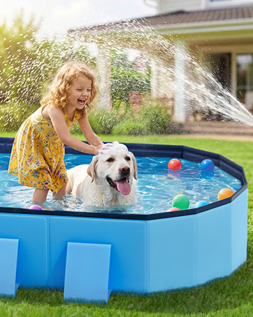 dog pool