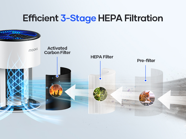 air purifiers for home