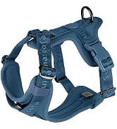 Sunraymascota No Pull Dog Harness with Lycra, Three-Point Force Dispersion &amp; 3D Padding, Adjustab...