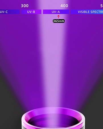 365nm blacklight