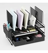 LEKETREE Desk Organizer, Office Organization with Vertical File Holder, File Organizer with Drawe...