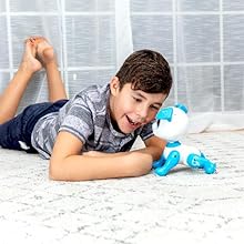 dog toys robot for 2 year old boy 3 boys girls girl puppy interactive small little toy best dogs kid