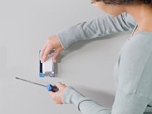 Basics Smart Switch