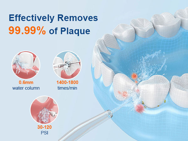 portable water flosser for teeth