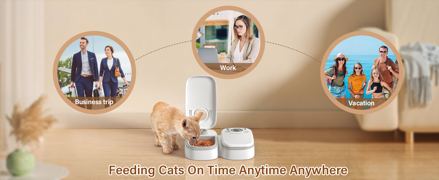automatic cat feeder