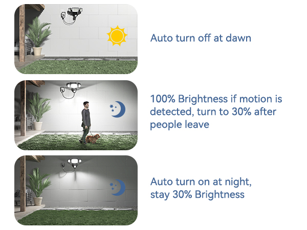 Dusk to Dawn Outdoor Lights