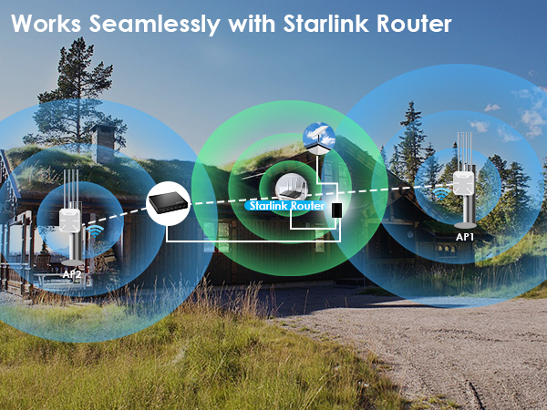  gigabit switch with starlink