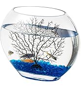 hygger Mini Glass Oblate Fish Bowl Kit, Small Fish Tank Comes with Blue Aquarium Decor Stones and...