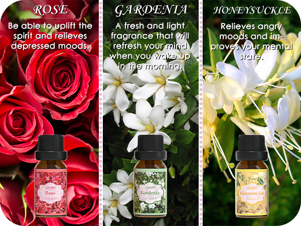 Take a journey into a sea of flowers.
