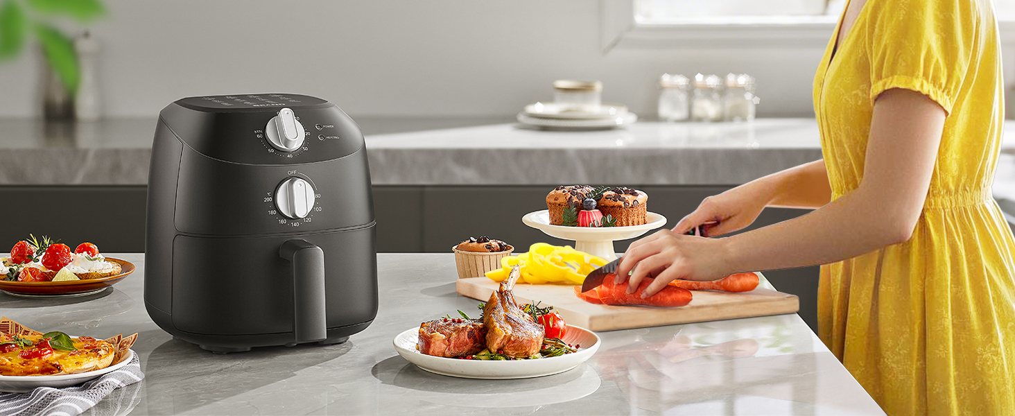 2 quart air fryer for small family