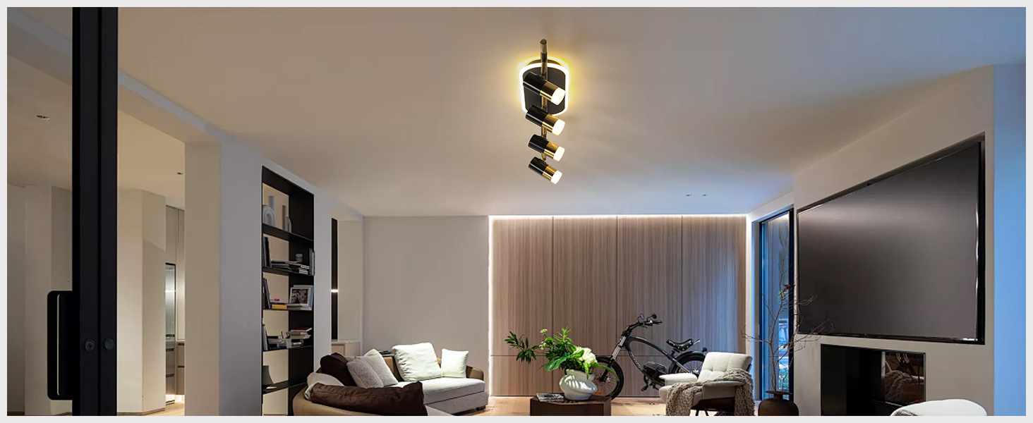 ceiling track