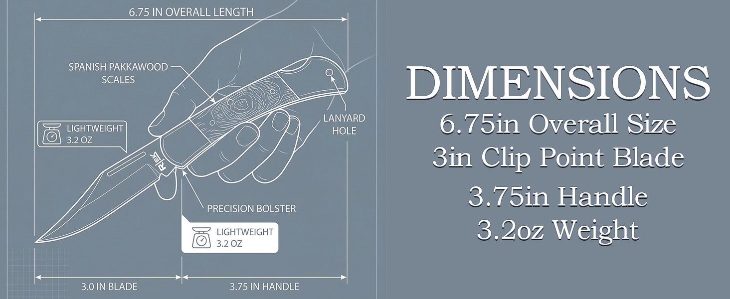 RT 6546 - Dimensions
