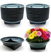 Estleys 24 Pcs Floral Supplies Green Bowls for Flower Arrangements, Floral Arrangements Bowls, Fl...