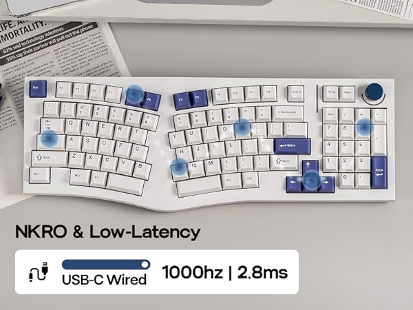 Alice98 White Ver.2
