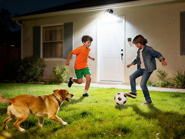 battery powered flood light