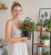 GroTheory 100 Pack 1 Gallon Nursery Pots, 6.7 Inch Plastic Pots for Plants, Plastic Flower Pots, ...