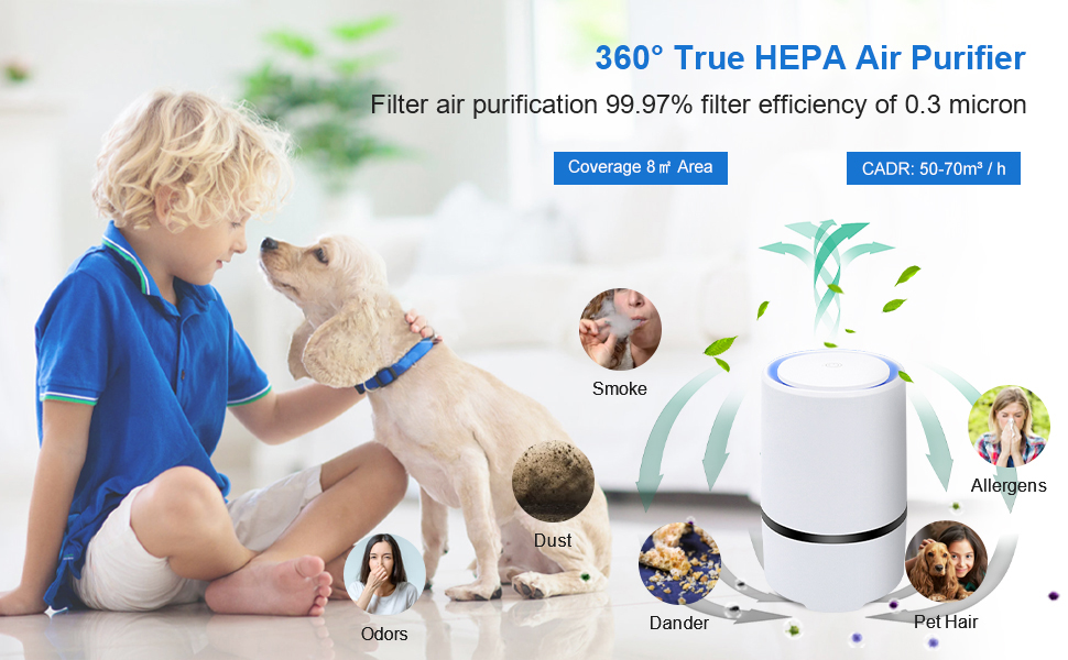 air purifiers