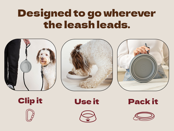 Designed to go wherever the leash leads