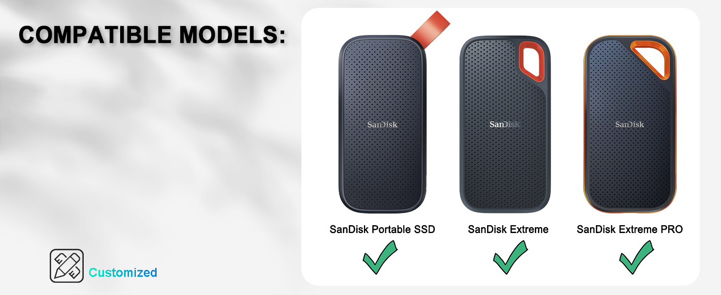 sandisk ssd carrying case