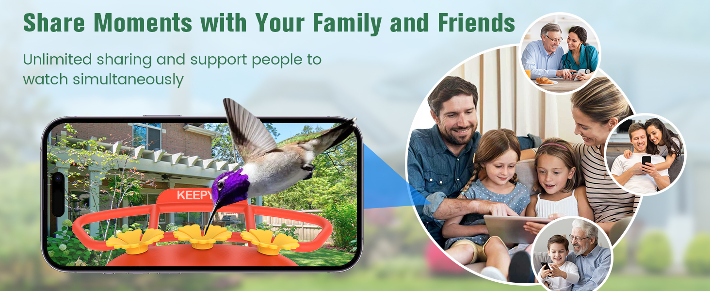 smart hummingbird feeder with camera