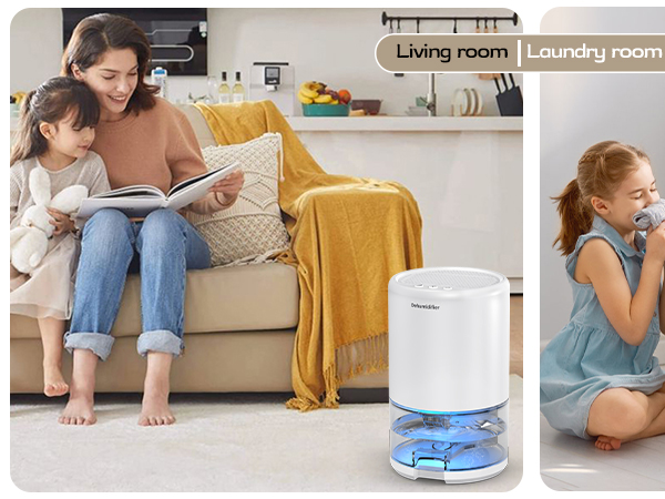 dehumidifier