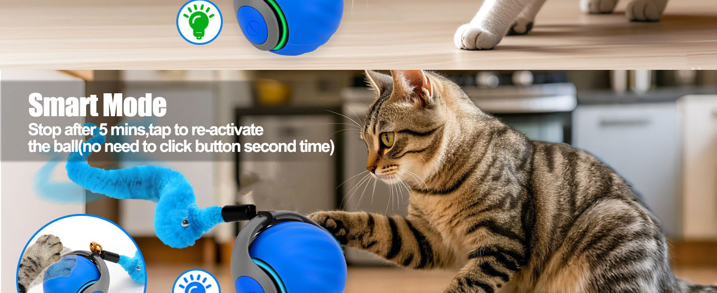 cat toy