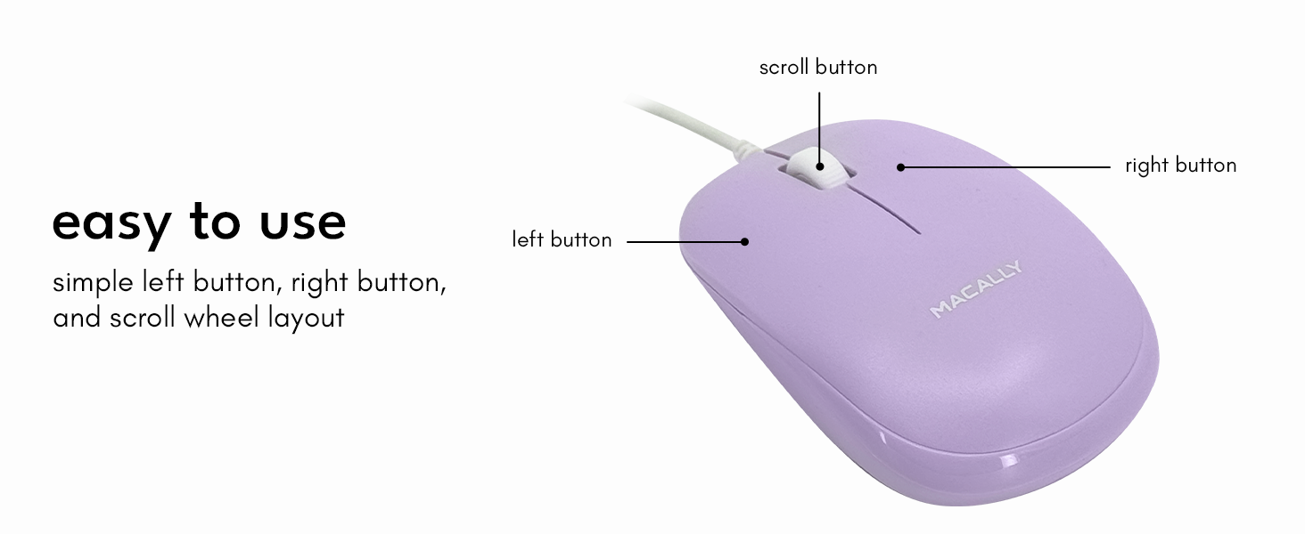mouse