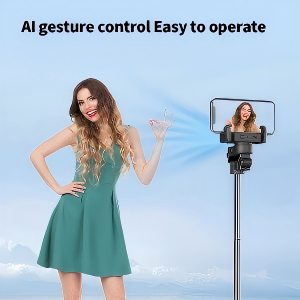 How to Use Intelligent Gesture