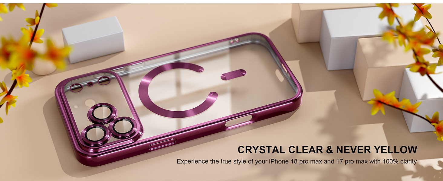 iPhone 18 pro max case