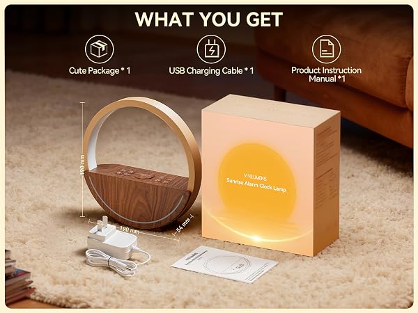 alarm clock package