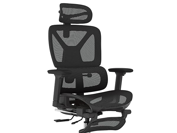flexispot ERGOX ergonomic chair