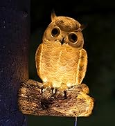 owl solar garden statue