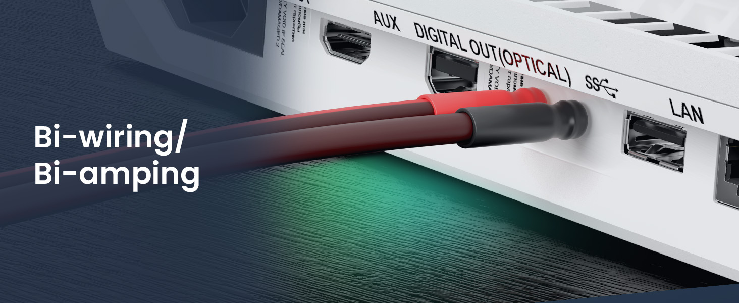 Bi-wiring / Bi-amping