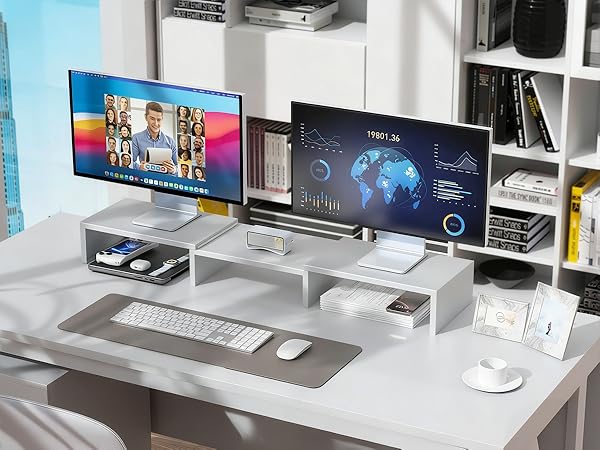 Dual monitor stand