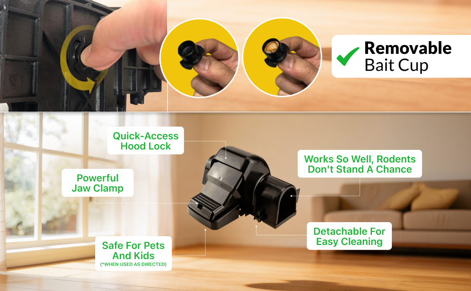 How to use the Sure-catch Rat trap.