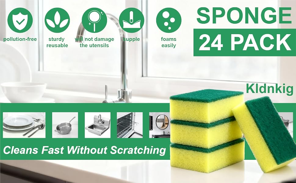 24SPONGE