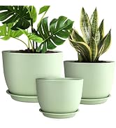 YNNICO Plant Pots 12/10/9 inch Set of 3, Flower Pots with Multi Mesh Drainage Holes, Large Plante...