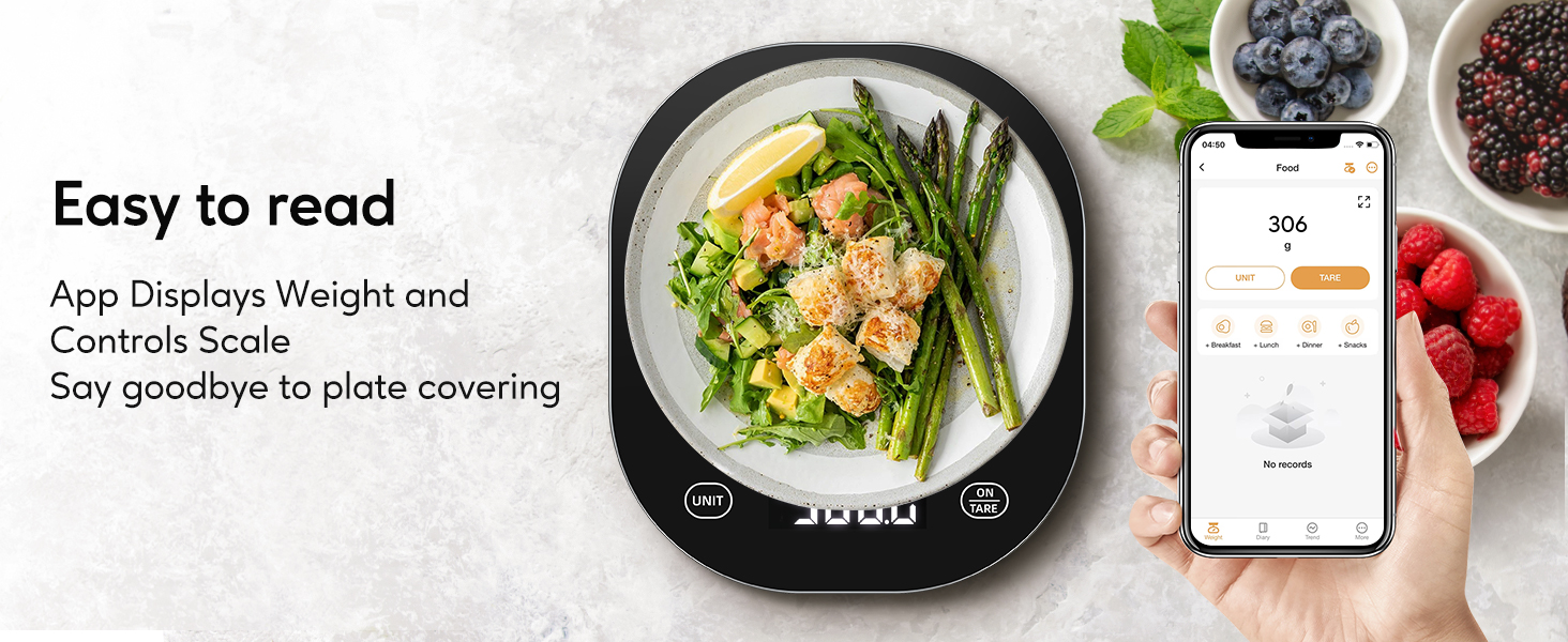 scale for food