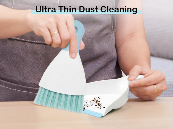Mini Dustpan and Brush Set