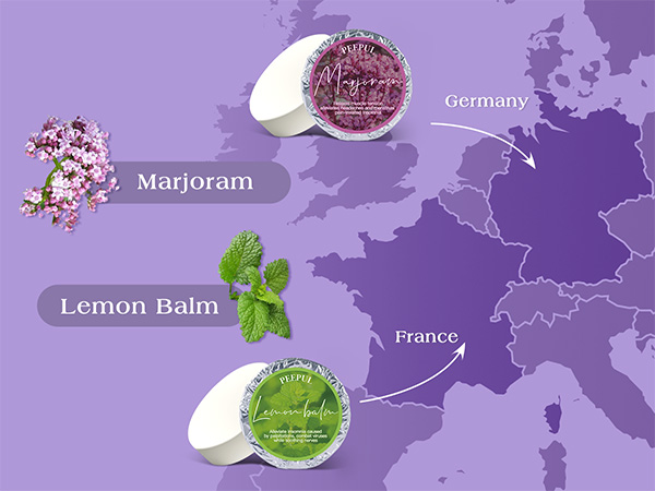 Shower Steamers Aromatherapy 