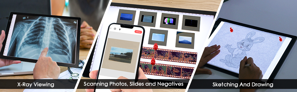 Slide Viewer LED Light Box