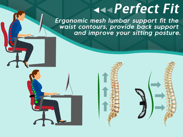 mesh lumbar support