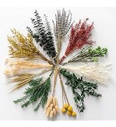 12 Kind Dried Flowers Set - Including Lavender, Eucalyptus, Wheat, Bunny Tails, Handmade for DIY ...