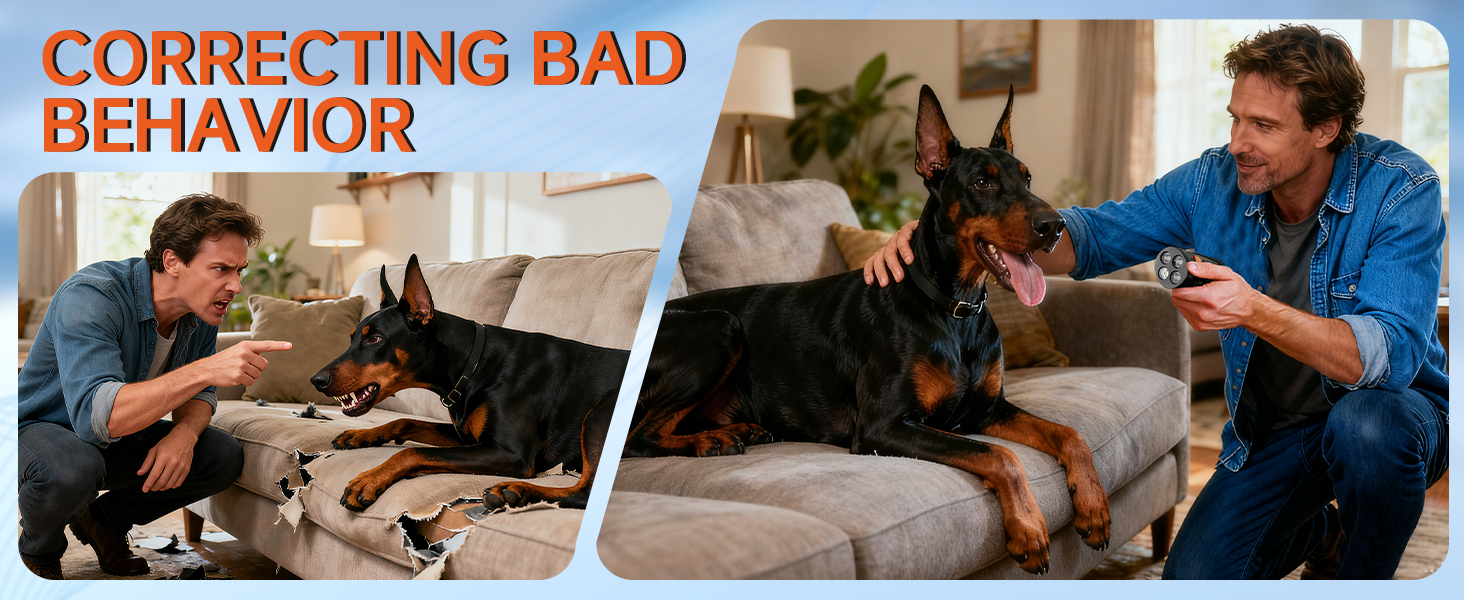 Dog Bark Deterrent Device