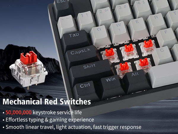 red switches